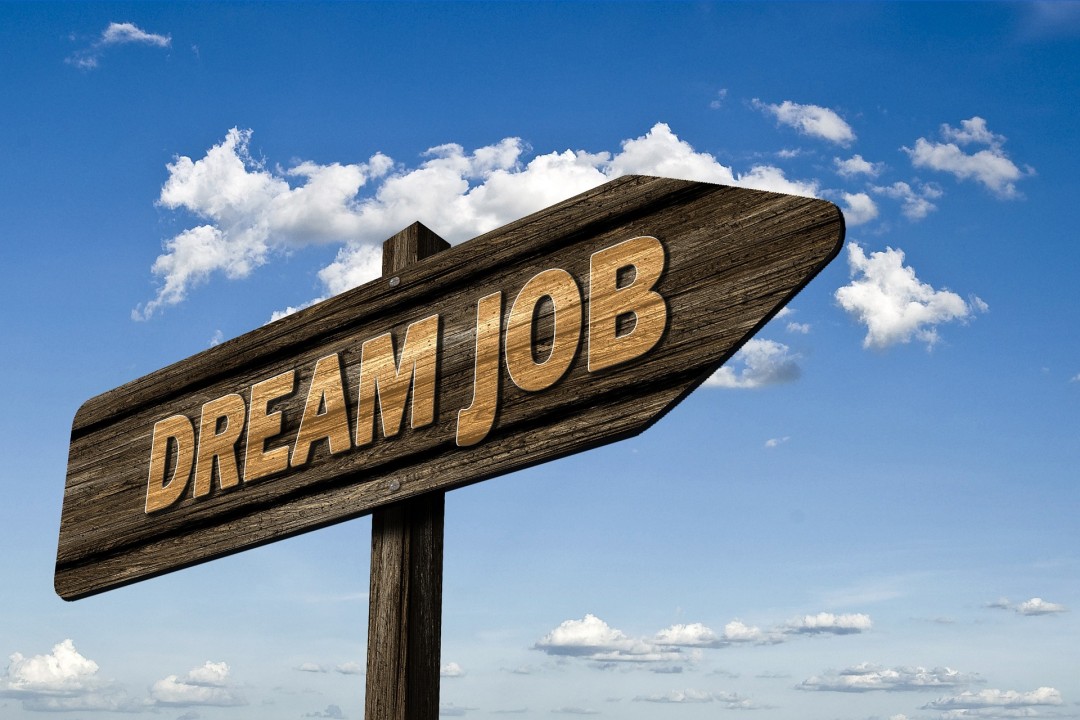 Finding Your Dream Job: How to Use a Job Site Effectively Blog Image